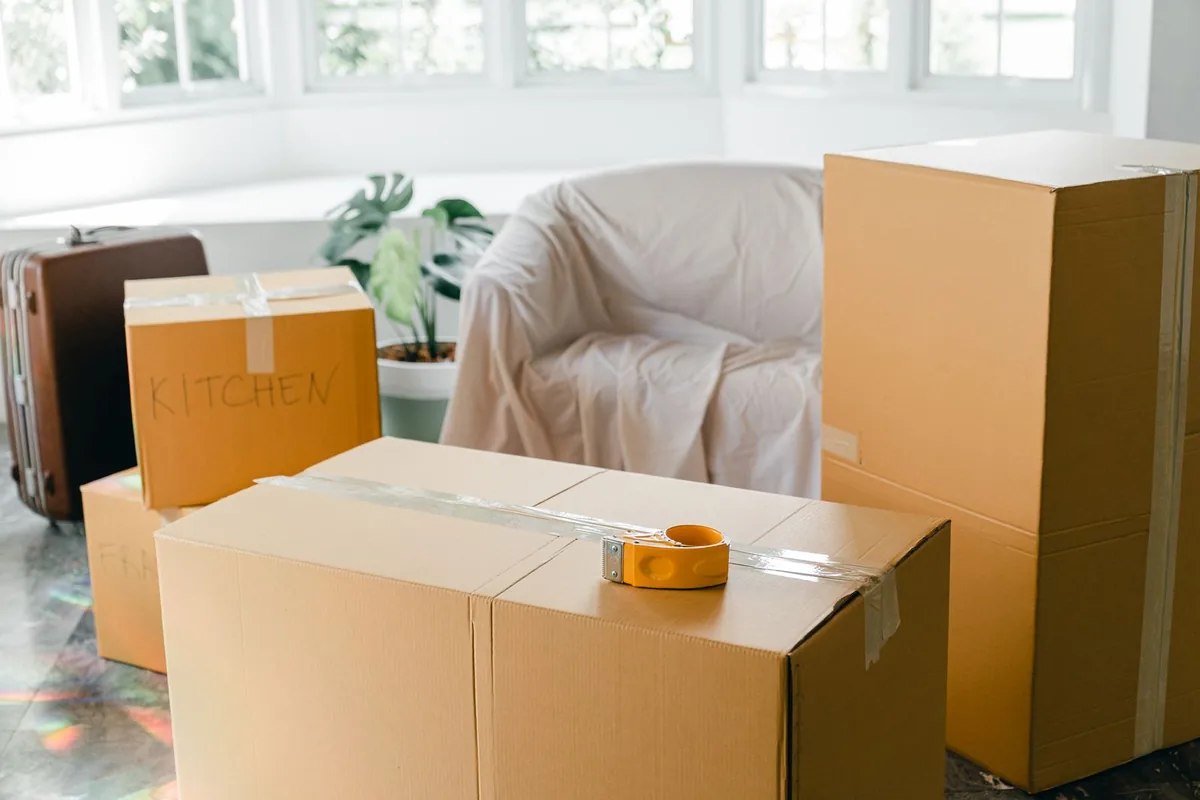 Hoarding Cleanup in Westchase, FL